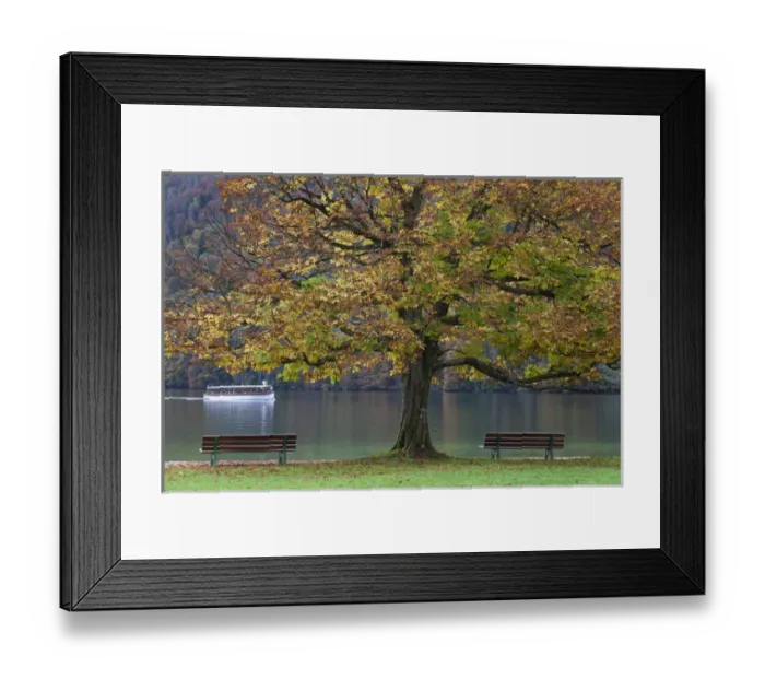 Framed Print : Germany, Bavaria, Konigsee, St. Bartholoma, fall foliage Framed Print : Germany, Bavaria, Konigsee, St. Bartholoma, fall foliage