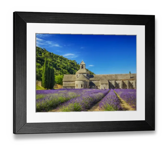 Framed Print : Europe; France; Provence; Seananque Abbey; Seananque Abbey with Lavender in full bloom