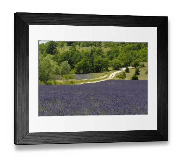 Framed Print : Banon, Provence, France Framed Print : Banon, Provence, France