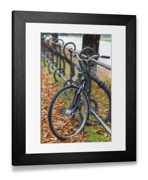 Framed Print : Germany, Bavaria, Munich, Hofgarten park, fall, bicycle Framed Print : Germany, Bavaria, Munich, Hofgarten park, fall, bicycle