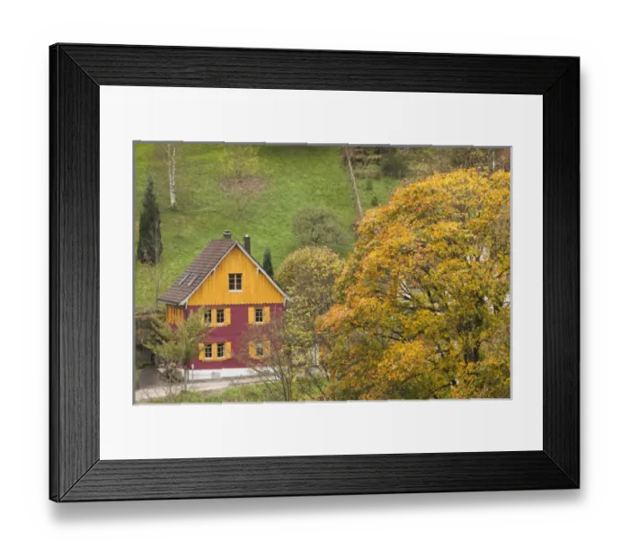 Framed Print : Germany, Baden-Wurttemburg, Black Forest, Unterdorf, elevated view of farmhouse, fall Framed Print : Germany, Baden-Wurttemburg, Black Forest, Unterdorf, elevated view of farmhouse, fall