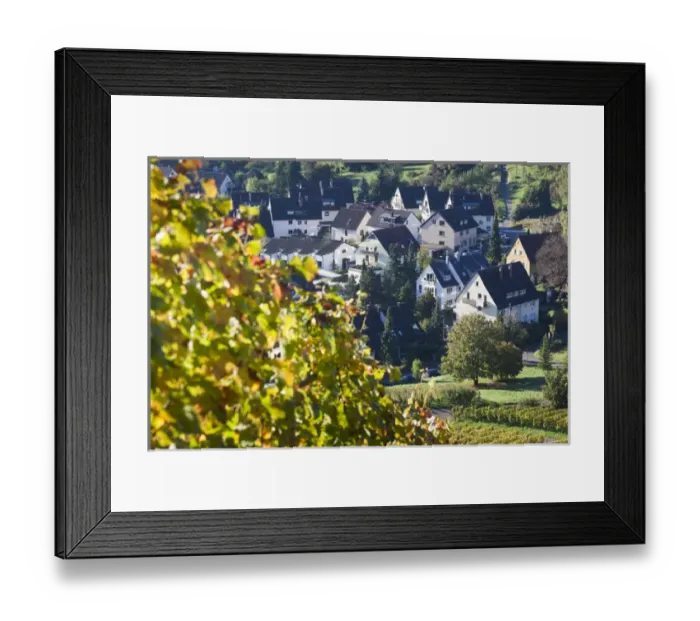 Framed Print : Germany, Baden-Wurttemburg, Stuttgart-Uhlbach, vineyards above Unter-turkheim, fall