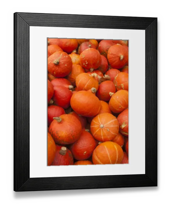 Framed Print : Germany, Baden-Wurttemburg, Ludwigsburg, Bluhendes Barock Gardens, fall festival Framed Print : Germany, Baden-Wurttemburg, Ludwigsburg, Bluhendes Barock Gardens, fall festival