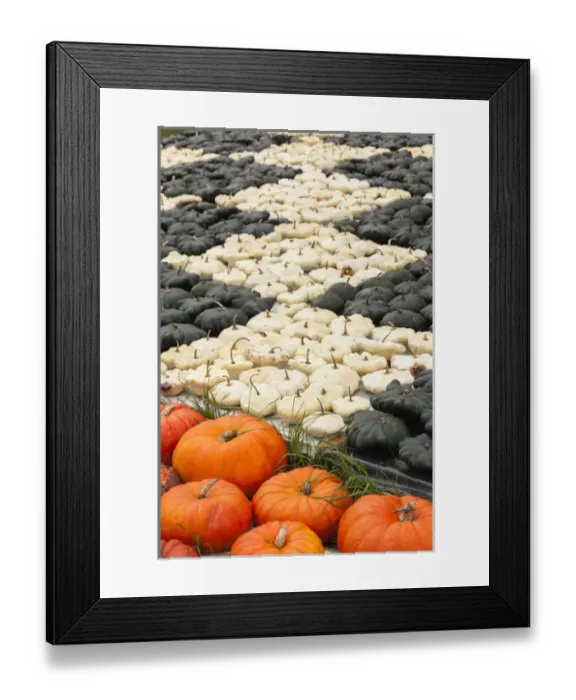 Framed Print : Germany, Baden-Wurttemburg, Ludwigsburg, Bluhendes Barock Gardens, fall festival