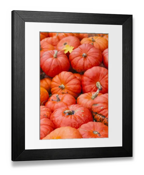 Framed Print : Germany, Baden-Wurttemburg, Ludwigsburg, Bluhendes Barock Gardens, fall festival Framed Print : Germany, Baden-Wurttemburg, Ludwigsburg, Bluhendes Barock Gardens, fall festival