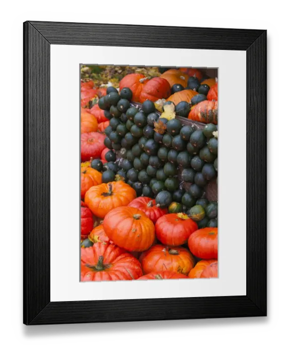 Framed Print : Germany, Baden-Wurttemburg, Ludwigsburg, Bluhendes Barock Gardens, fall festival Framed Print : Germany, Baden-Wurttemburg, Ludwigsburg, Bluhendes Barock Gardens, fall festival