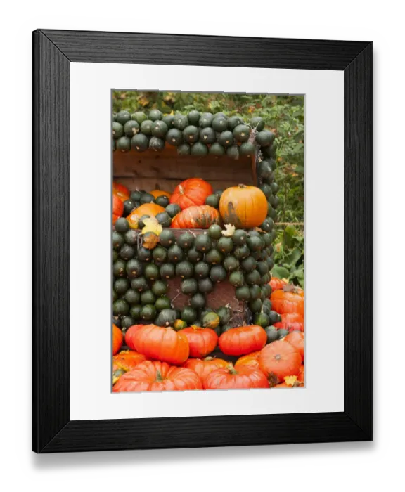 Framed Print : Germany, Baden-Wurttemburg, Ludwigsburg, Bluhendes Barock Gardens, fall festival Framed Print : Germany, Baden-Wurttemburg, Ludwigsburg, Bluhendes Barock Gardens, fall festival