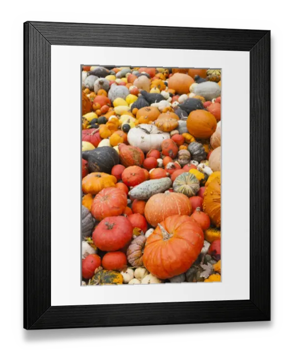 Framed Print : Germany, Baden-Wurttemburg, Ludwigsburg, Bluhendes Barock Gardens, fall festival Framed Print : Germany, Baden-Wurttemburg, Ludwigsburg, Bluhendes Barock Gardens, fall festival