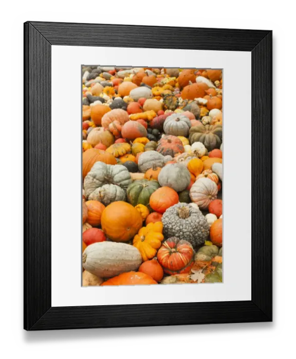 Framed Print : Germany, Baden-Wurttemburg, Ludwigsburg, Bluhendes Barock Gardens, fall festival Framed Print : Germany, Baden-Wurttemburg, Ludwigsburg, Bluhendes Barock Gardens, fall festival