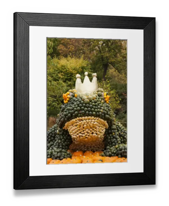 Framed Print : Germany, Baden-Wurttemburg, Ludwigsburg, Bluhendes Barock Gardens, fall festival