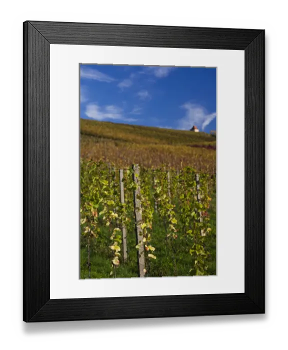 Framed Print : Germany, Baden-Wurttemburg, Black Forest, Gengenbach, vineyards and hilltop chapel, fall