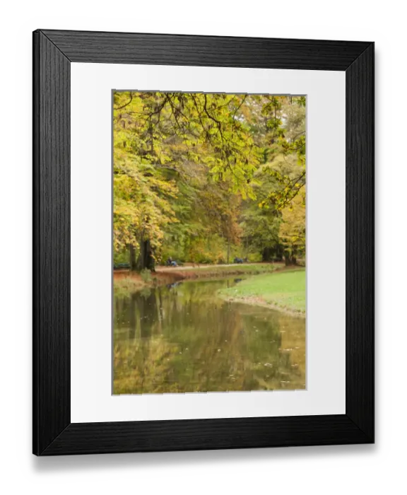 Framed Print : Germany, Bavaria, Munich, Englischer Garten park, fall foliage