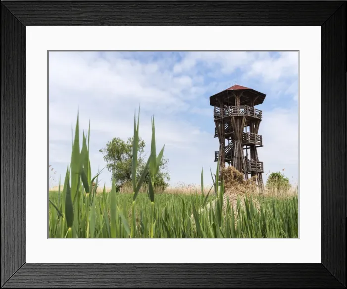 Framed Print : Watch tower at the fish ponds of Hortobagy (Hortobagy halasto) in the Hortobagy National