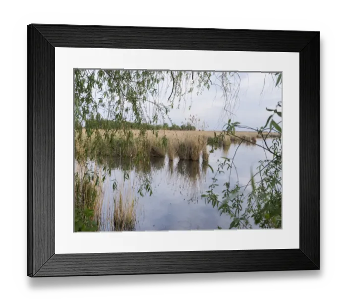 Framed Print : The fish ponds of Hortobagy (Hortobagy halasto) in the Hortobagy National Park during spring