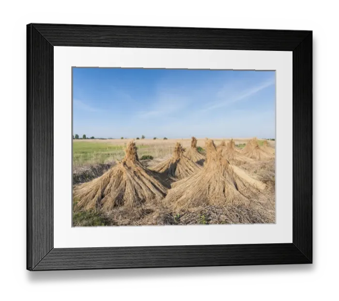 Framed Print : Traditional reed stack in the hungarian Puszta, Hortobagy NP, UNESCO world heritage Framed Print : Traditional reed stack in the hungarian Puszta, Hortobagy NP, UNESCO world heritage
