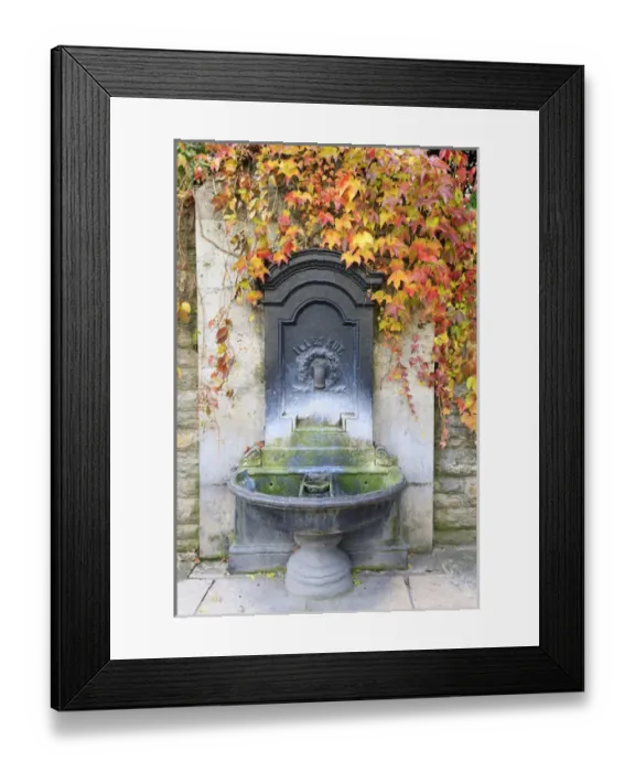 Framed Print : RM. Old Water drinking fountain. Budapest. Hungary