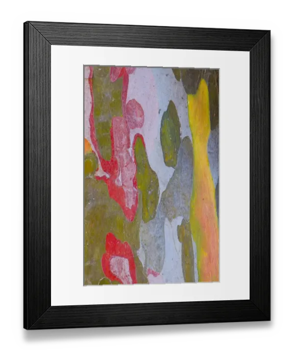 Framed Print : Italy, Tuscany. Cypress tree bark patterns Framed Print : Italy, Tuscany. Cypress tree bark patterns