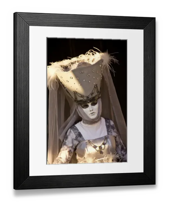 Framed Print : Carnival Venice Italy Masked Costumes