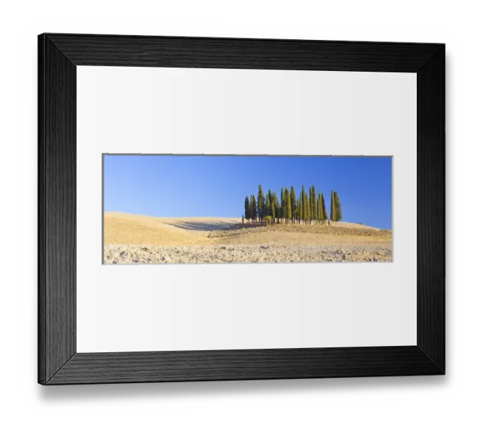 Framed Print : Italy, Tuscany. Cypress grove panoramic. Credit as: Gilles Delisle / Jaynes Gallery Framed Print : Italy, Tuscany. Cypress grove panoramic. Credit as: Gilles Delisle / Jaynes Gallery