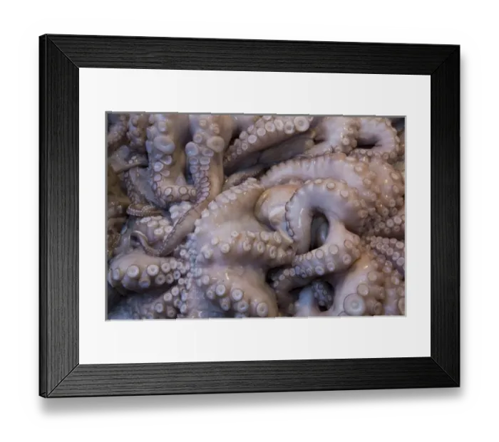 Framed Print : Fish and Vegtable Market Venice, Italy Framed Print : Fish and Vegtable Market Venice, Italy