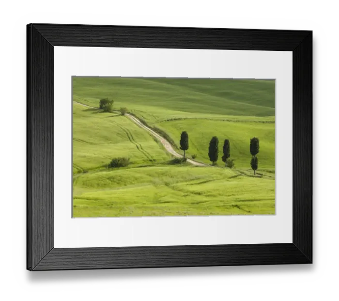 Framed Print : Italy, Tuscany. A country road meanders through lush green fields Framed Print : Italy, Tuscany. A country road meanders through lush green fields