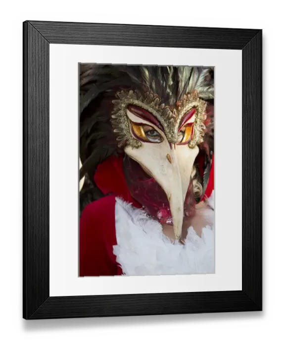 Framed Print : Carnival Venice Italy Masked Costumes Framed Print : Carnival Venice Italy Masked Costumes