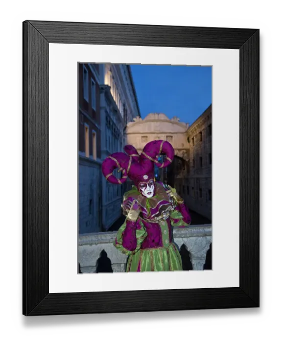 Framed Print : Carnival Venice Italy Masked Costumes
