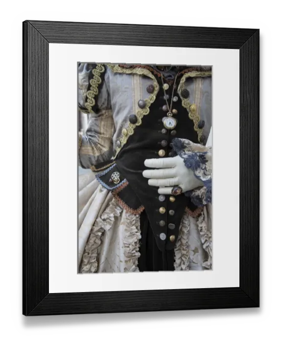 Framed Print : Venice at Carnival Time, Italy