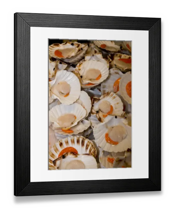 Framed Print : Fish Market scallops on display for sale, Venice Italy