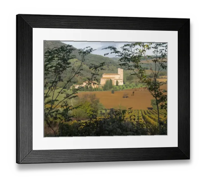 Framed Print : Europe, Italy, Tuscany. Vineyard and olive trees with the Abbey of Sant Antimo in the distance Framed Print : Europe, Italy, Tuscany. Vineyard and olive trees with the Abbey of Sant Antimo in the distance