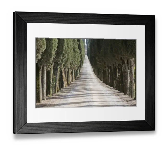 Framed Print : Europe Italy Tuscany Tree Lined Road Framed Print : Europe Italy Tuscany Tree Lined Road