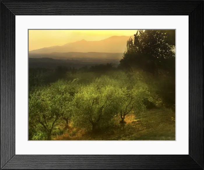 Framed Print : Europe Italy Tuscany Marti Evening Framed Print : Europe Italy Tuscany Marti Evening