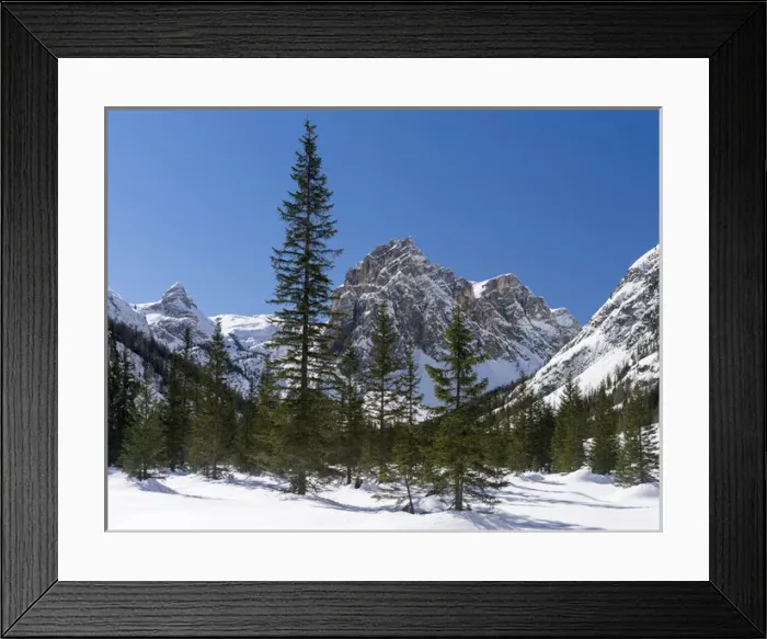 Framed Print : Valley Innerfeldtal (Val Campo di Dentro) in the Sexten Dolomites, part of UNESCO Framed Print : Valley Innerfeldtal (Val Campo di Dentro) in the Sexten Dolomites, part of UNESCO