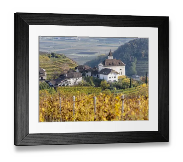 Framed Print : Vineyards and church of Missian (Missiano) close to Eppan (Appiano) in the Ueberetsch Framed Print : Vineyards and church of Missian (Missiano) close to Eppan (Appiano) in the Ueberetsch