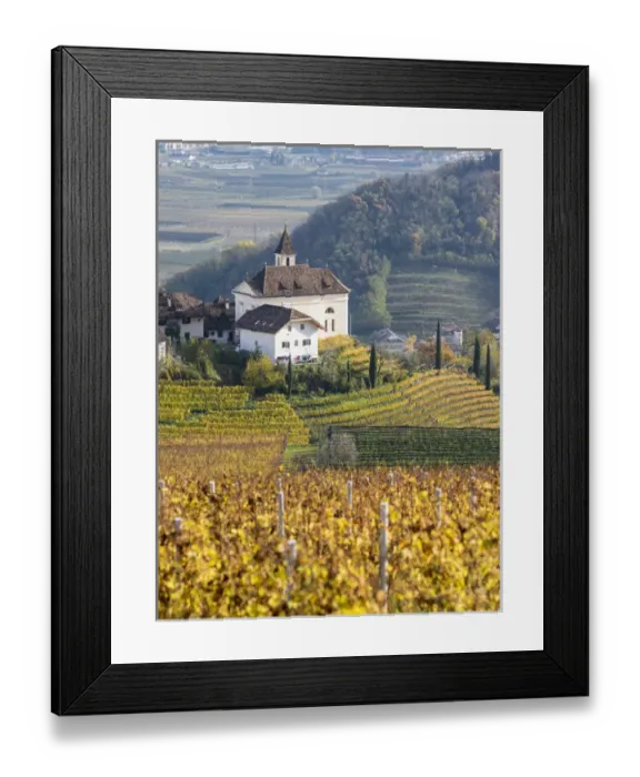 Framed Print : Vineyards and church of Missian (Missiano) close to Eppan (Appiano) in the Ueberetsch