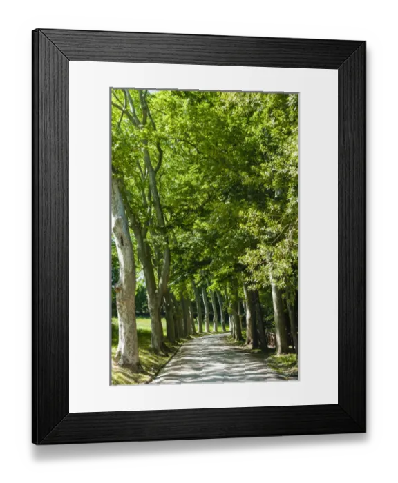 Framed Print : Park and garden of Villa Demidoff, Pratolino, Vaglia, Firenze province, Firenze, Italy Framed Print : Park and garden of Villa Demidoff, Pratolino, Vaglia, Firenze province, Firenze, Italy