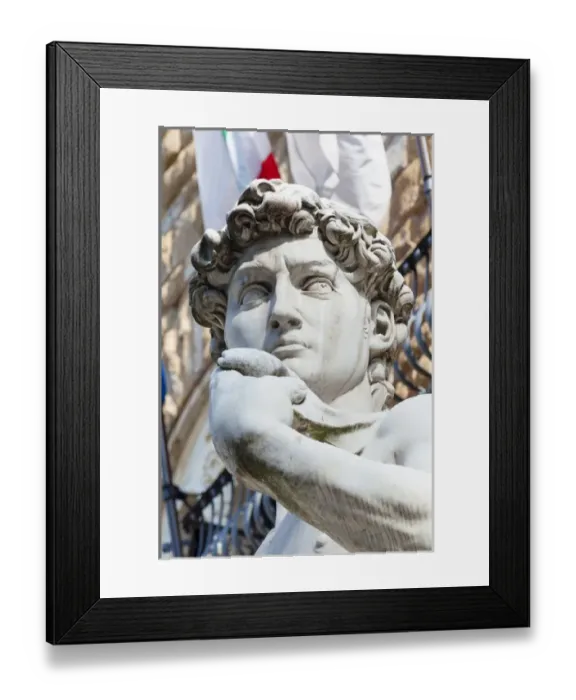 Framed Print : The David, by Michelangelo, Palazzo Vecchio, Piazza Signoria, Firenze, Unesco world heritage site Framed Print : The David, by Michelangelo, Palazzo Vecchio, Piazza Signoria, Firenze, Unesco world heritage site