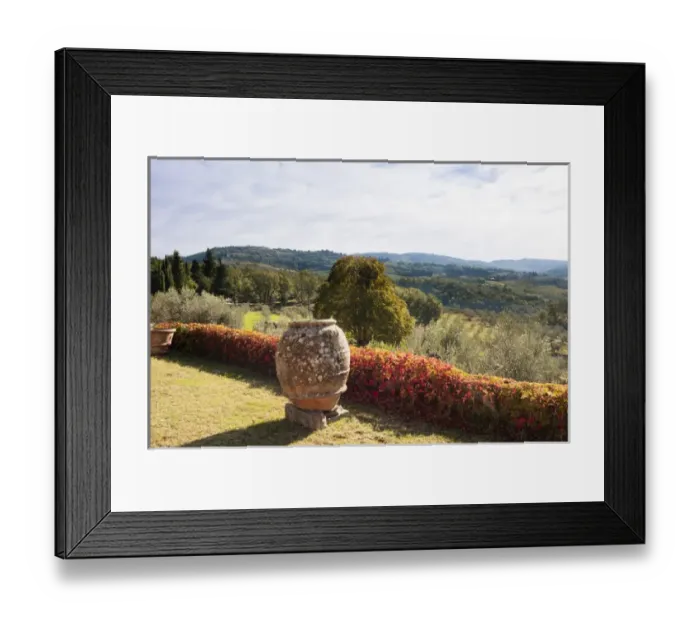 Framed Print : Olive groves, Greve in Chianti, Chianti area, Florence province, Tuscany, Italy