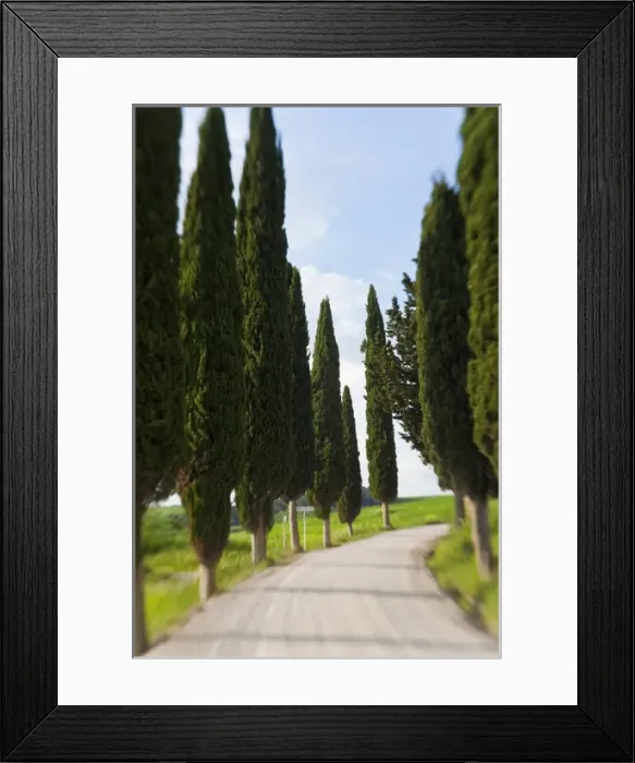 Framed Print : Winding Road, near Pienza, Tuscany, Italy Framed Print : Winding Road, near Pienza, Tuscany, Italy