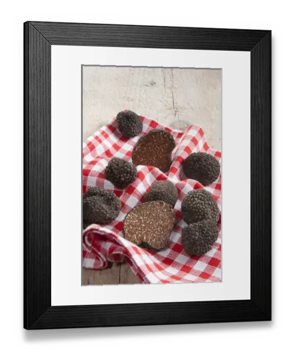 Framed Print : Summer black truffles (Tuber aestivum) on a napkin Framed Print : Summer black truffles (Tuber aestivum) on a napkin