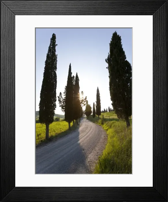 Framed Print : Winding road, Tuscany, Italy