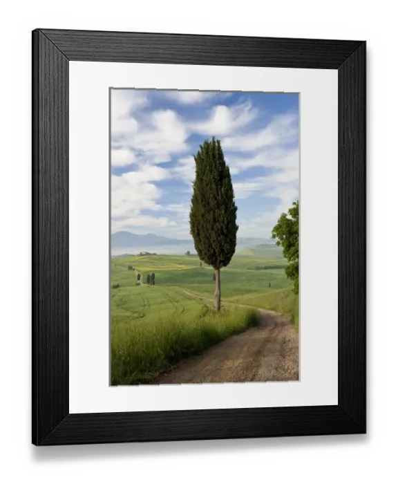 Framed Print : Track, San Quirico d orcia, Val d orcia, Tuscany, Italy