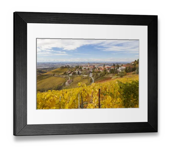 Framed Print : Vineyards, Treiso, nr Alba, Langhe, Piedmont (or Piemonte or Piedmonte), Italy