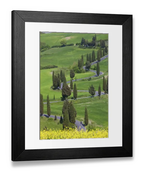 Framed Print : Winding Road, Monticchiello, Tuscany, Italy Framed Print : Winding Road, Monticchiello, Tuscany, Italy