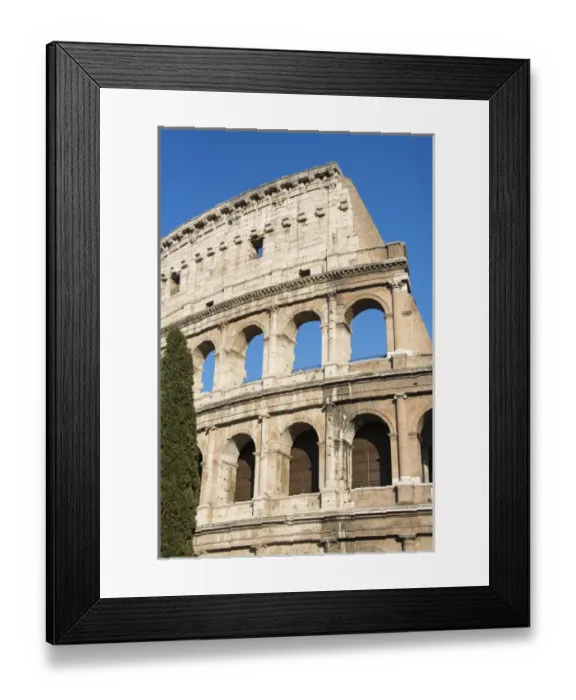 Framed Print : Europe, Italy, Rome. Colosseum