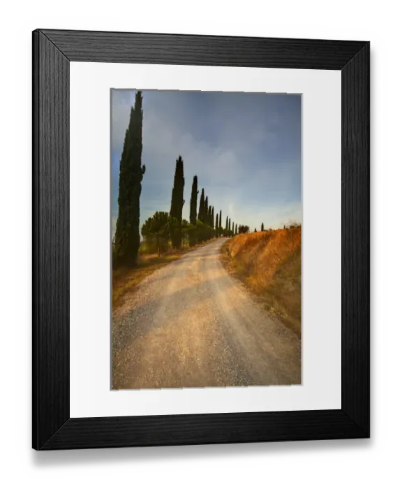 Framed Print : Europe; Italy: Tuscany; Tuscan Cypress Lined Back Road Framed Print : Europe; Italy: Tuscany; Tuscan Cypress Lined Back Road