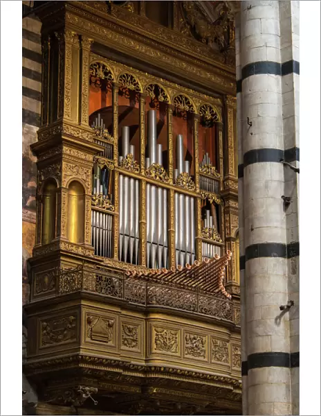 Europe, Italy, Siena. Duomo organ