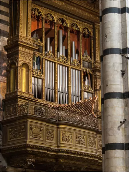 Europe, Italy, Siena. Duomo organ