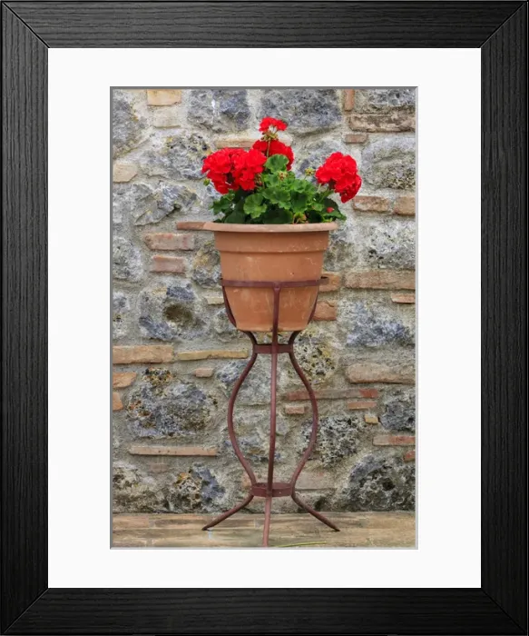 Framed Print : Flower pots as decoration. Tuscany. Italy