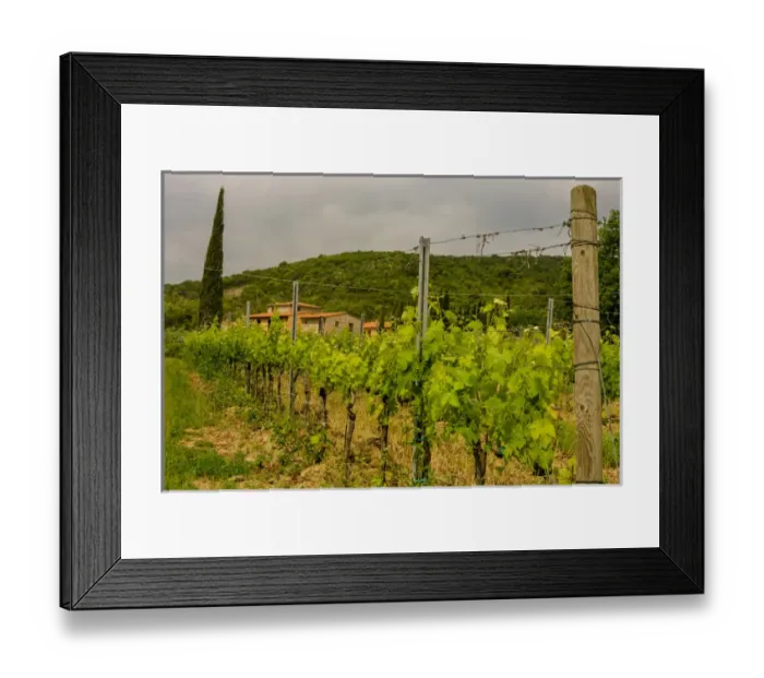 Framed Print : Farmhouse. Vineyards. Tuscany. Italy